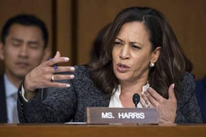 Kamala Harris has entered the 2020 Democratic race and here's who else is running