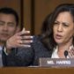 Kamala Harris has entered the 2020 Democratic race and here's who else is running