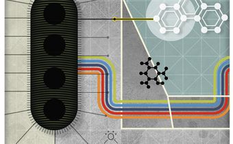 Organically Wired Through Bacteria