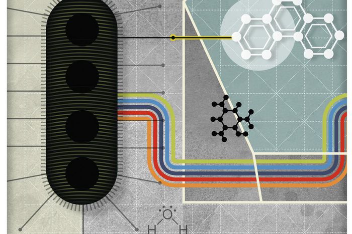 Organically Wired Through Bacteria