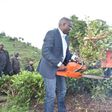 Nandi Governor Stephen Sang leading residents in cutting and uprooting tea on the disputed piece of land on 7 June 2019