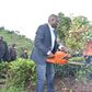 Nandi Governor Stephen Sang leading residents in cutting and uprooting tea on the disputed piece of land on 7 June 2019