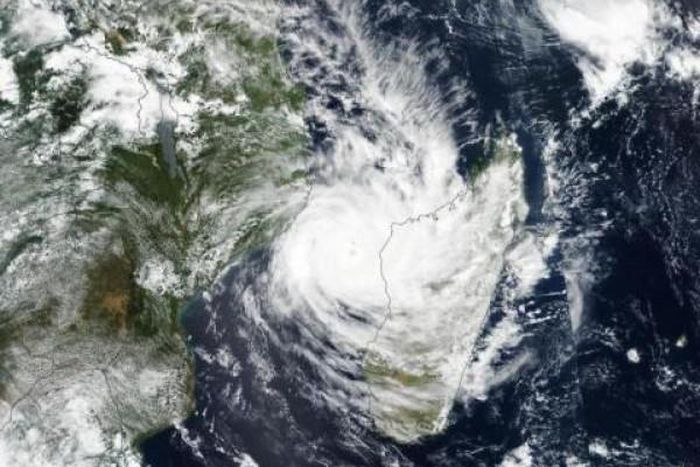 International Organization for Migration (IOM)