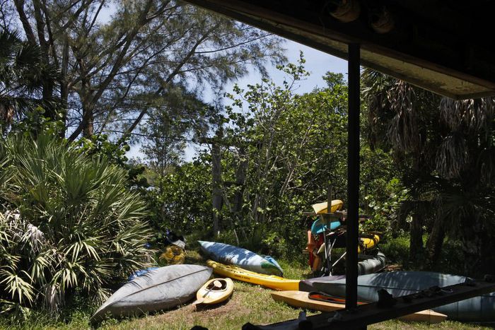 The Florida Activist Is 78. The Legal Judgment Against Her Is $4 Million.