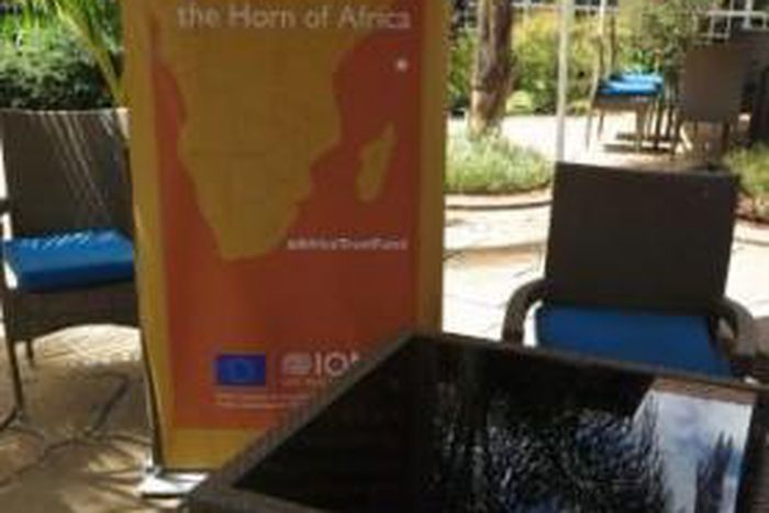 International Organization for Migration (IOM)