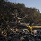 'Devil Winds' Drive Southern California Fires