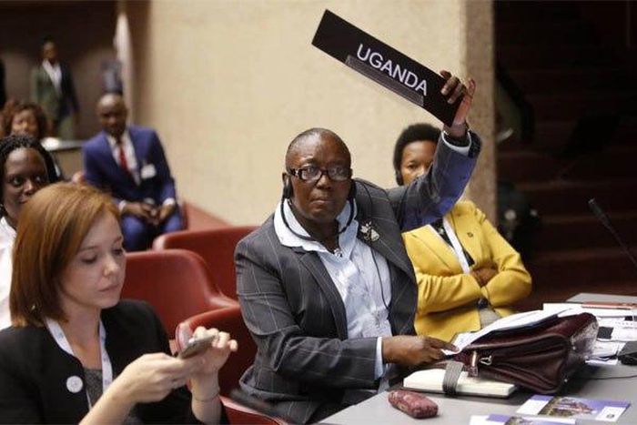 ___9106896___2018___11___15___8___latest02pix