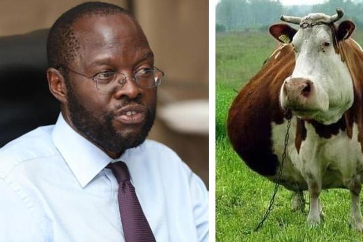 Here are all the jokes on Kisumu county's Sh3.7 million cow