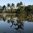 Florida Keys Deliver a Hard Message: As Seas Rise, Some Places Can't Be Saved