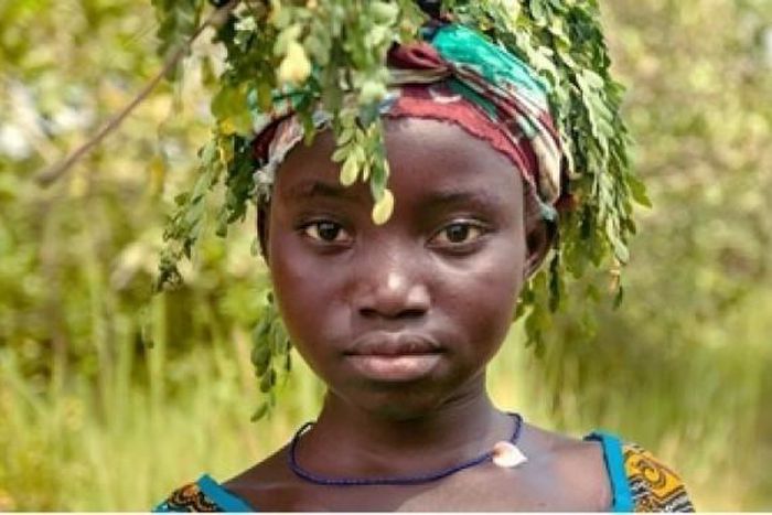 European Union Delegation to the African Union