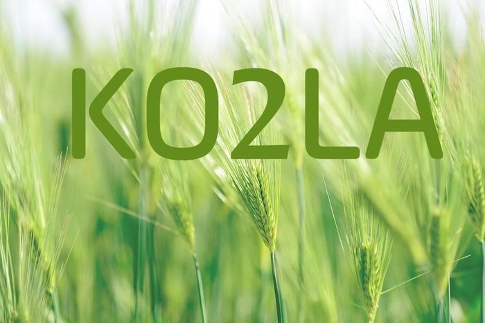 Kotula