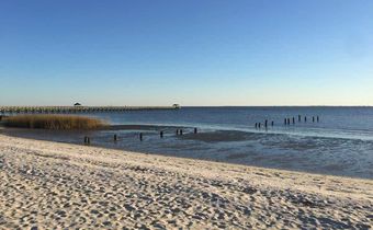 Mississippi closes beaches because of toxic algae blooms