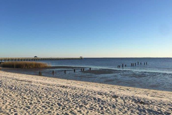 Mississippi closes beaches because of toxic algae blooms