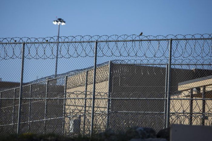 Crime Is Down. U.S. Incarceration Rates? Barely.