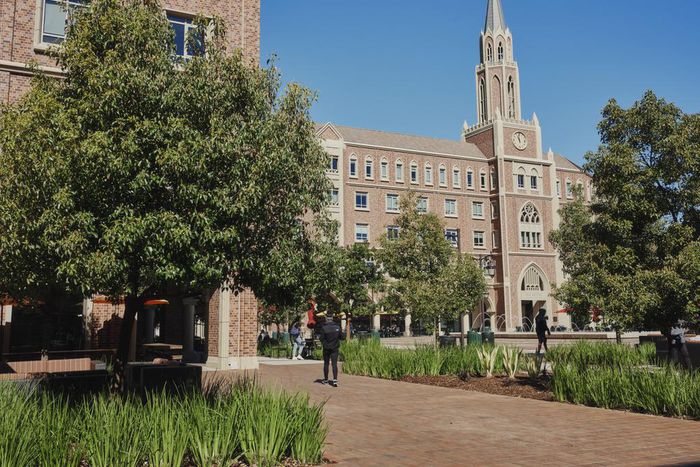 'So Disheartening': At Colleges Embroiled in Scandal, a Sense of Outrage and Sadness