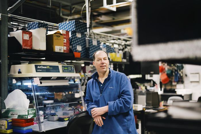 Stanford Clears Professor of Helping With Gene-Edited Babies Experiment