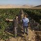 The Future of Wine: Very, Very Dry