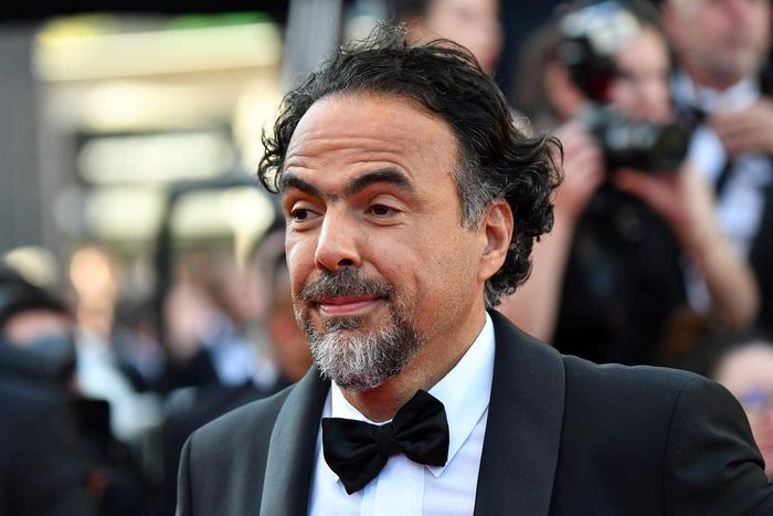 Iñárritu to lead Cannes Film Festival jury