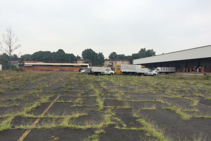 How 'Roma' Turned an Empty Lot Into a Bustling Avenue