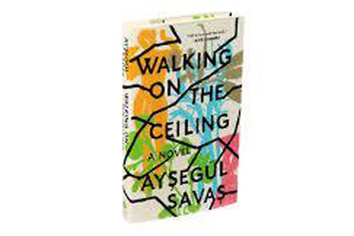 With sensuality and coolness, a debut novel considers the (partial) truths we tell about ourselves