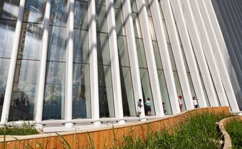 The Rice Paddy at Ground Zero