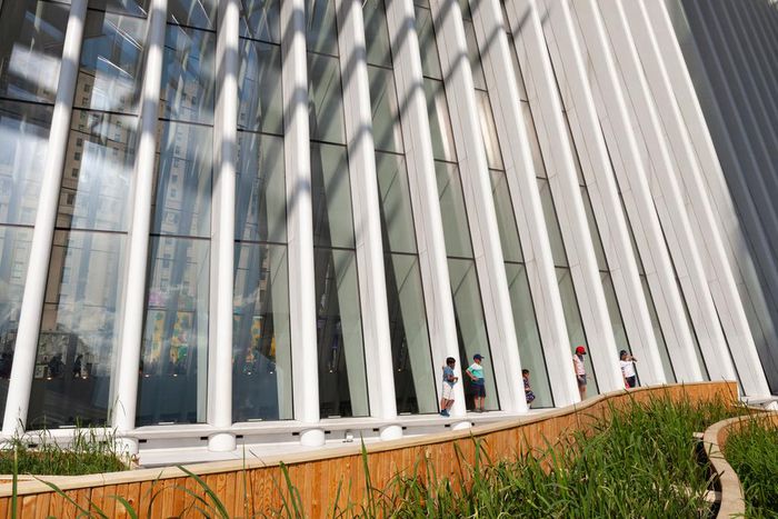 The Rice Paddy at Ground Zero