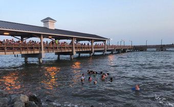 Georgia beachgoers save stranded pilot whales in dramatic rescue