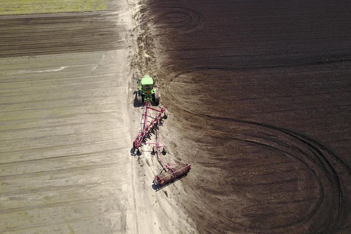 8 Million People Are Working Illegally in the U.S. Here's Why That's Unlikely to Change.