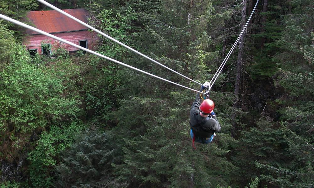Ziplining (Alaska Shore Tours)