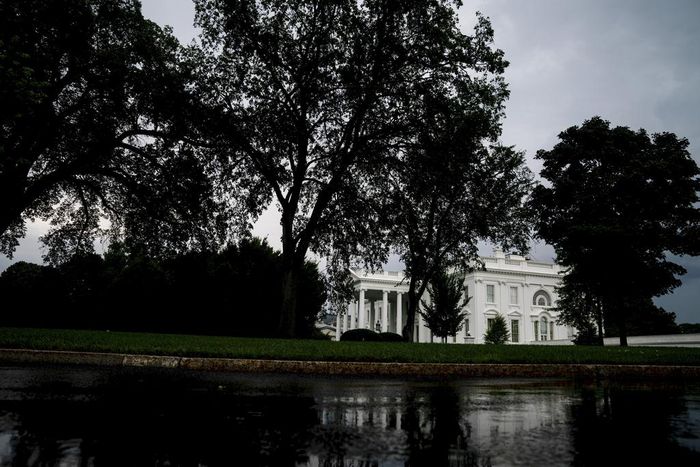 Falling Trust in Government Makes It Harder to Solve Problems, Americans Say