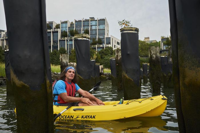 Another East River Pylon Sprouts Unlikely Tomatoes