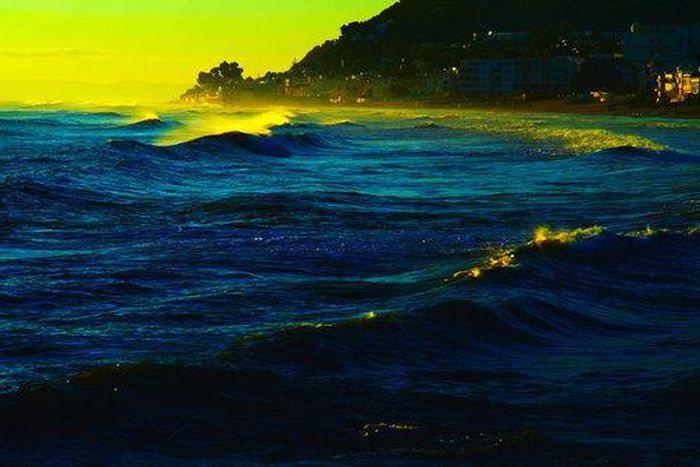 'The Image Book' review: Godard looks at violence, and movies