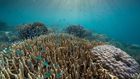 Watching 'Our Planet,' where the predator is us