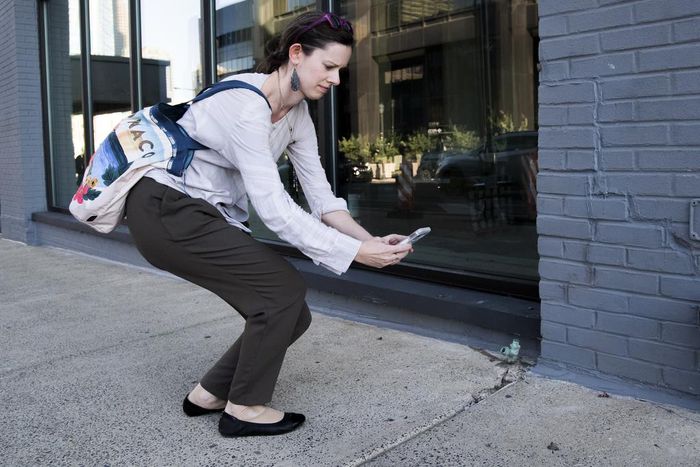 'Squash It! Smash It!': Pennsylvania Implores Residents to Kill an Invasive Bug on Sight