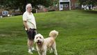 A Pit Bull Was Strangled by a Neighbor. Then Came #JusticeforRex.