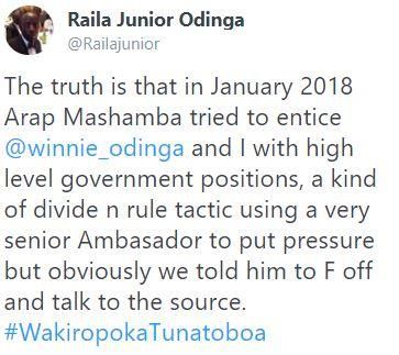 Ruto tried to entice Winnie Odinga with high level government job – Raila Junior