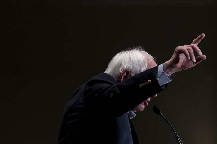 Centrist Democrats Squirm as 2020 Rivals Tilt Left