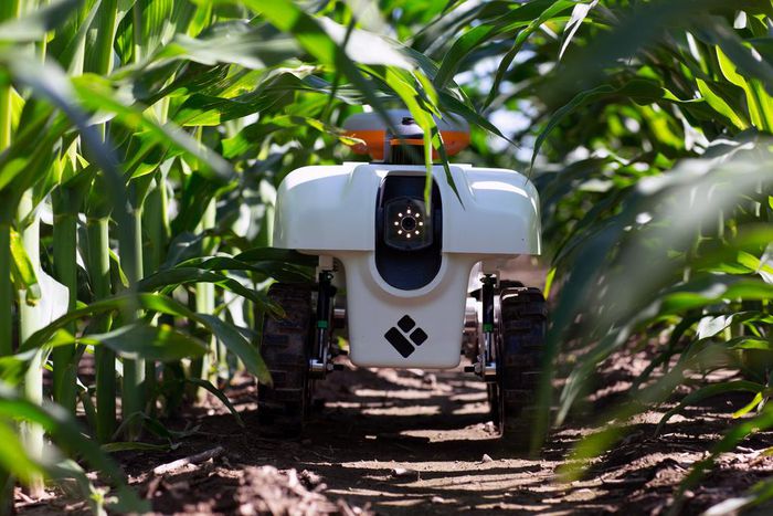 A Growing Presence on the Farm: Robots