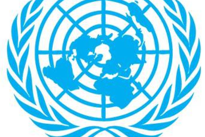 Mission de l'Organisation des Nations unies en République démocratique du Congo (MONUSCO)