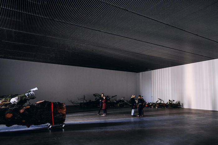 The Shed Opens: What Our Critics Think