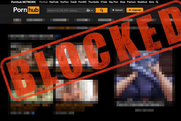 ___9172678___2018___12___6___8___Porn+Websites+Blocked+in+Indonesia+vpn