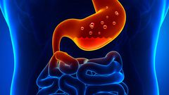 When bacteria attack your body, usually, it will start by infecting a particular body part, what we call the focus of the infection