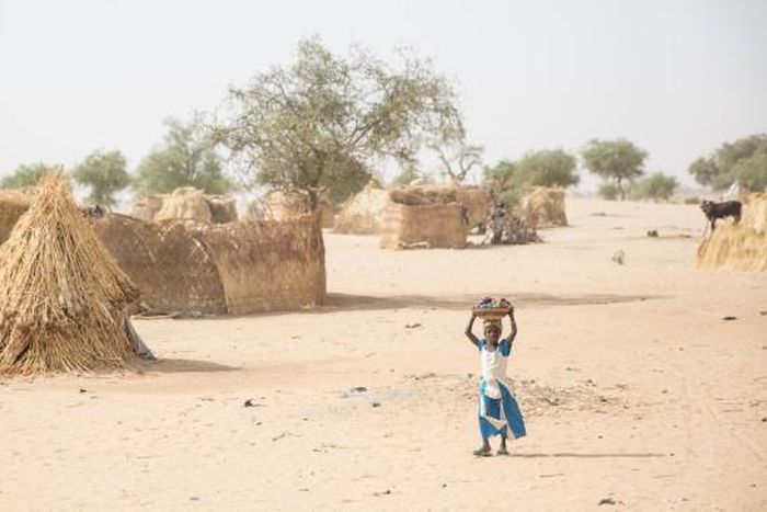 International Organization for Migration (IOM)