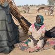 United Nations High Commissioner for Refugees (UNHCR)