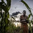 Food and Agriculture Organization (FAO)