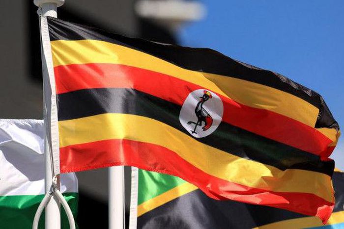 Human Rights Watch (HRW)