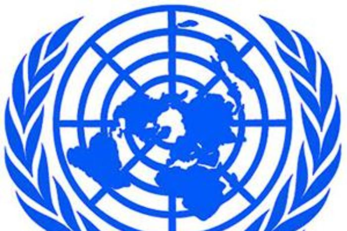 United Nations (UN)