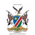 Ministry of Health and Social Services, Namibia