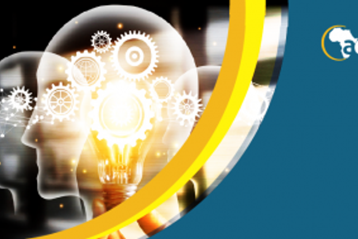 Africa Enterprise Challenge Fund (AECF)