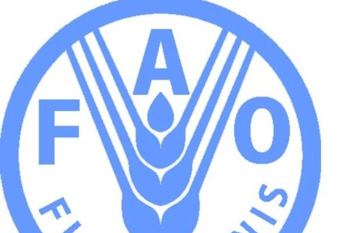 Food and Agriculture Organization (FAO)